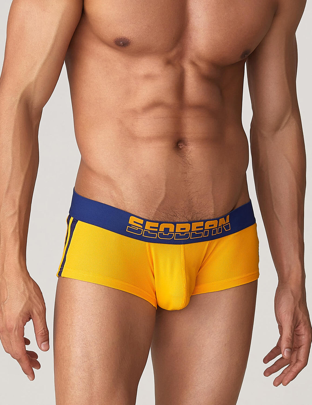 Side Line Nylon Mesh Boxer Brief 220212