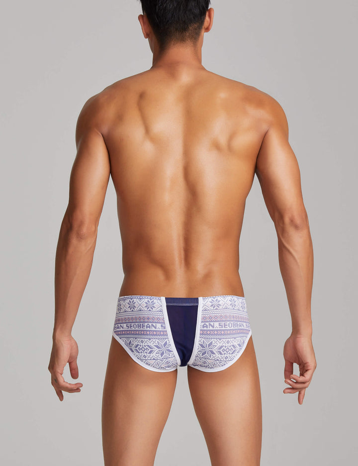 Sexy Bohemian Mesh Brief 220108