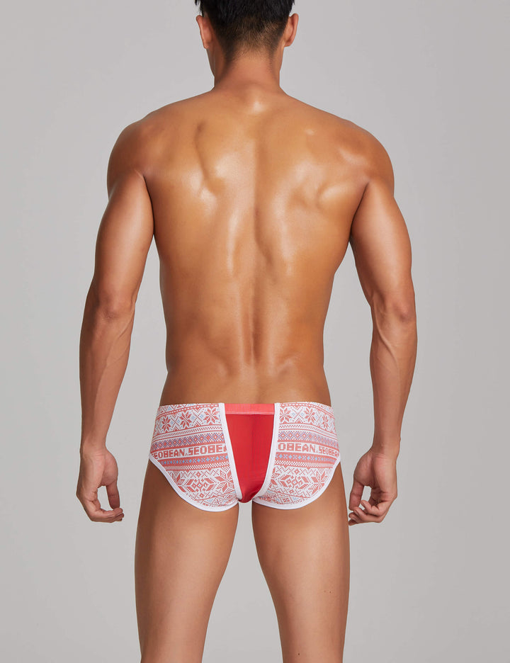 Sexy Bohemian Mesh Brief 220108