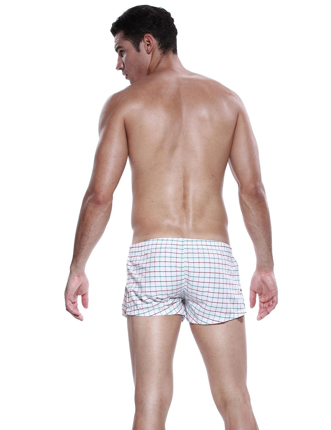 Low Rise Plaid Trunk Shorts 40505