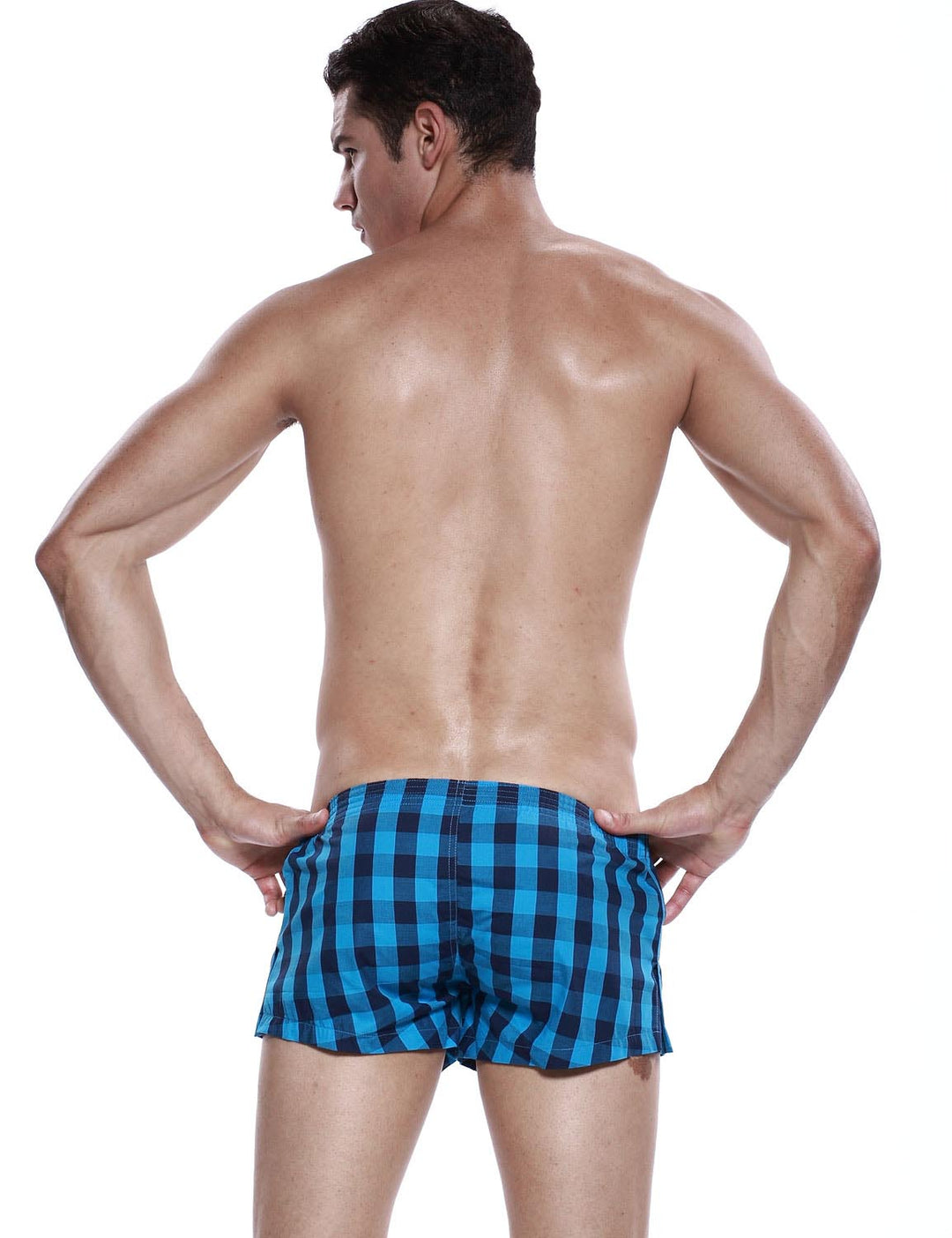 Low Rise Plaid Trunk Shorts 40505