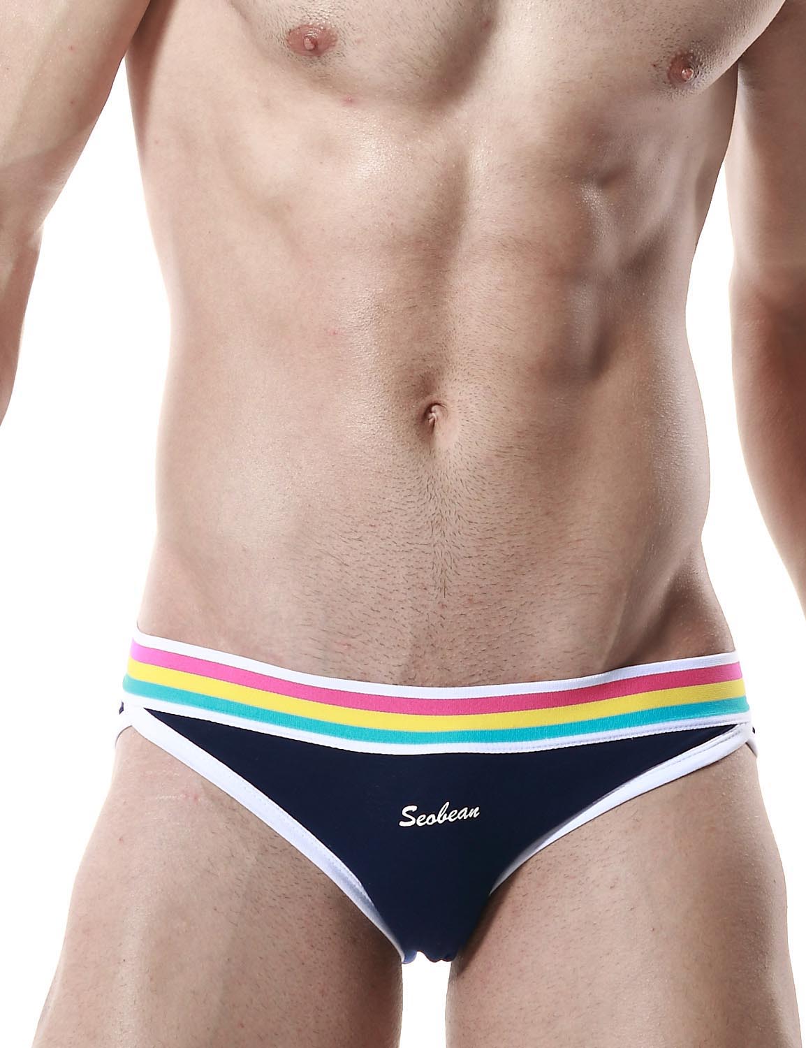 Low Rise Sexy Brief Rainbow 60101