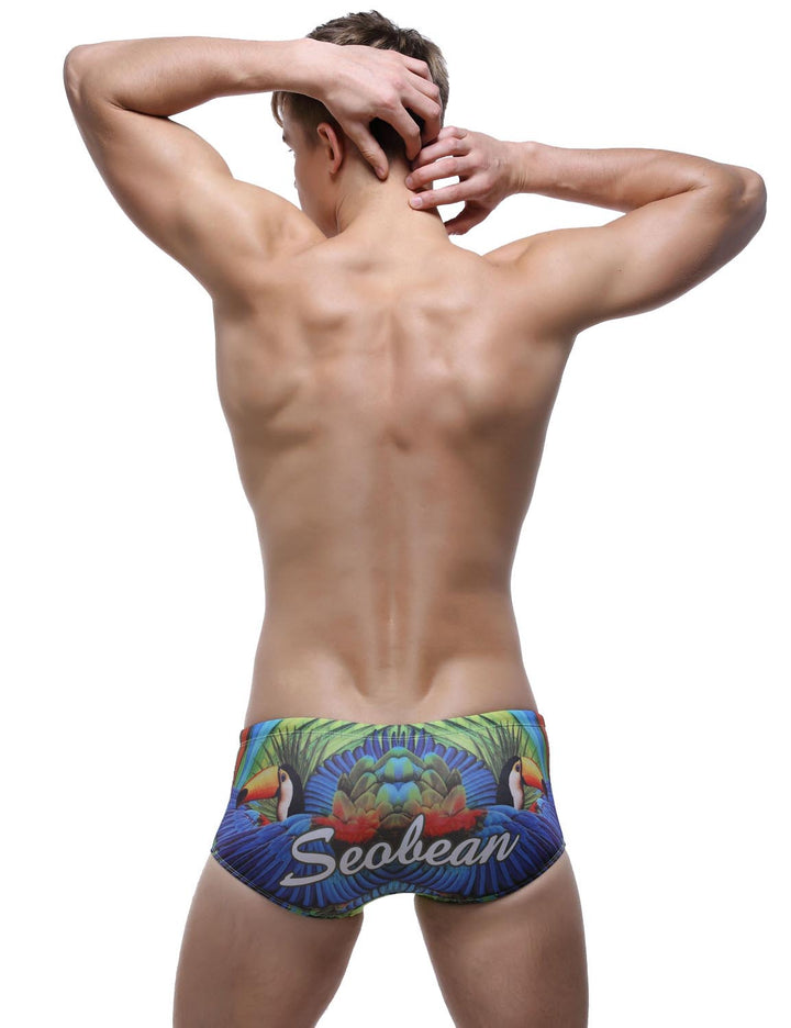 Low Rise Boxer Brief Visual Arts Swimwear 60801
