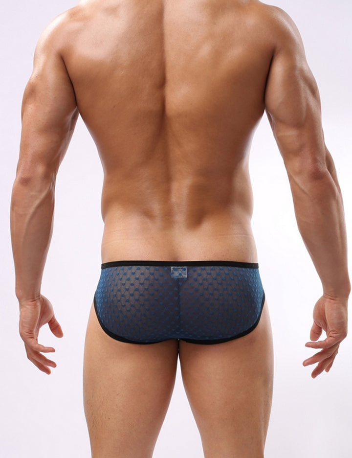 Low Rise Mesh Briefs 4117