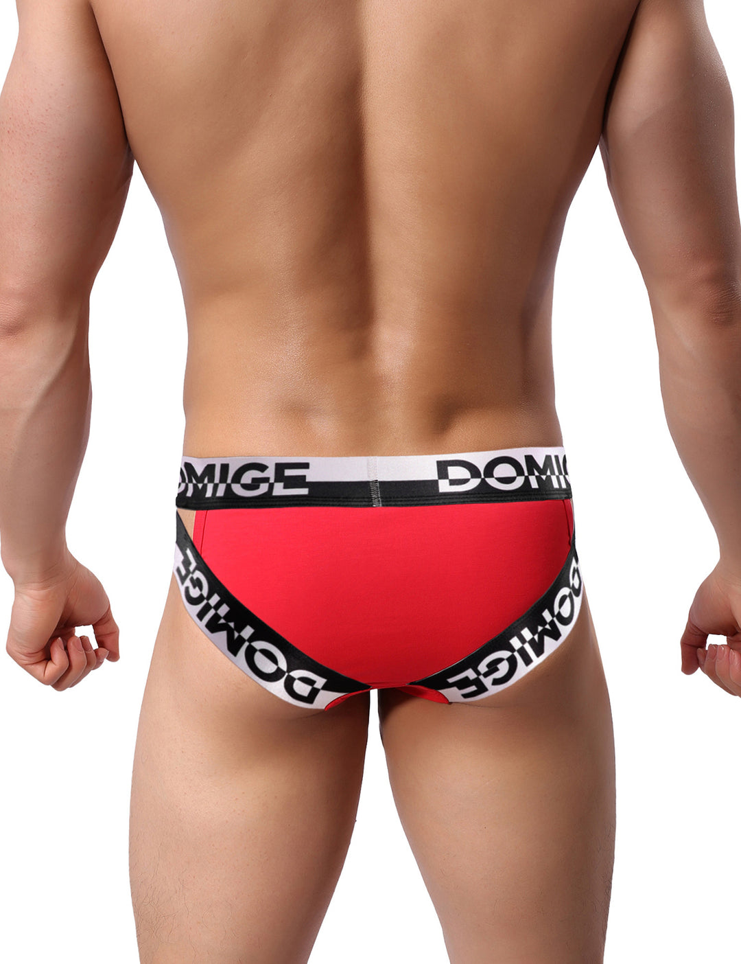 Low Rise Wide Waistband Briefs 5349
