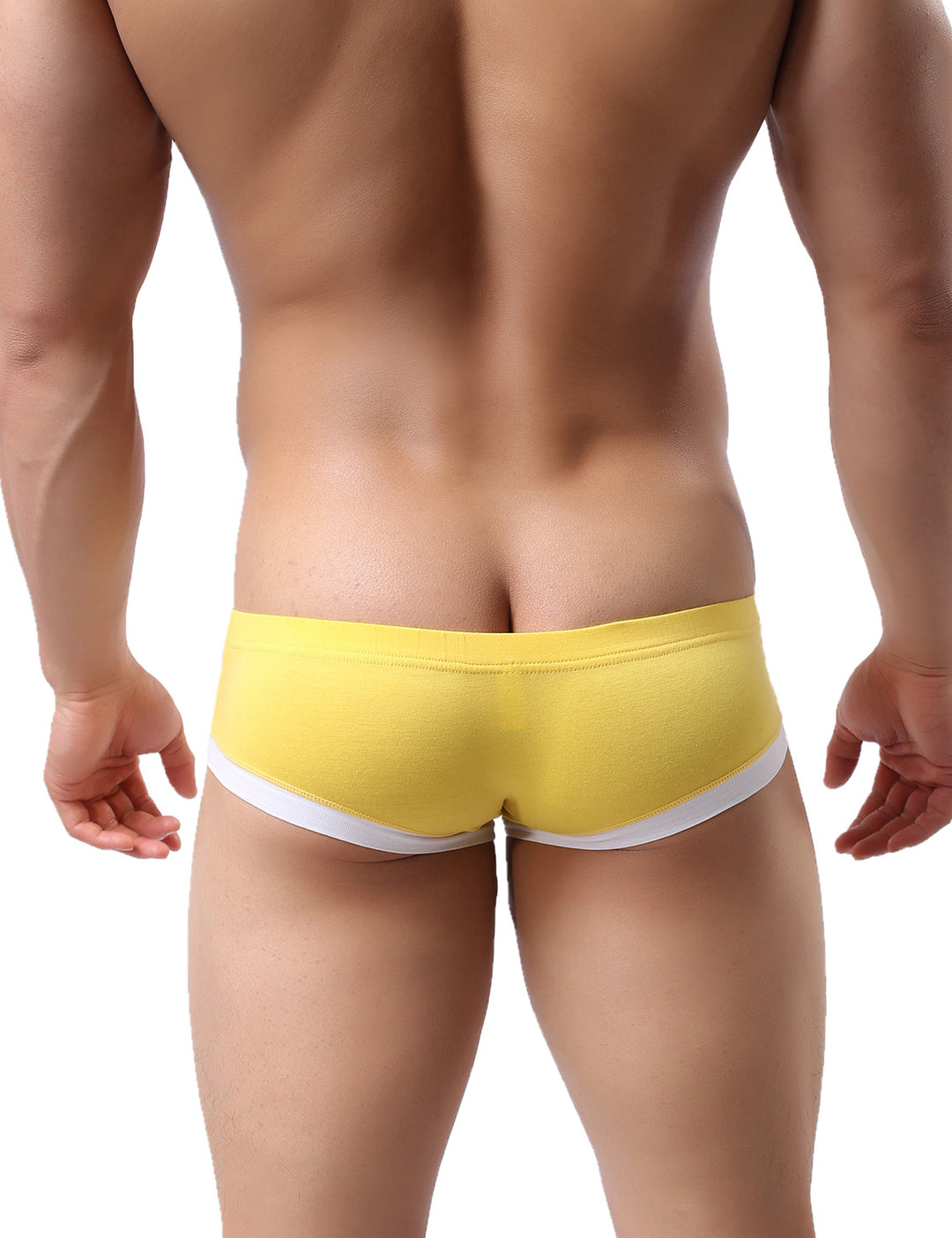 Super Low Rise Modal Nano Boxer Briefs 5447