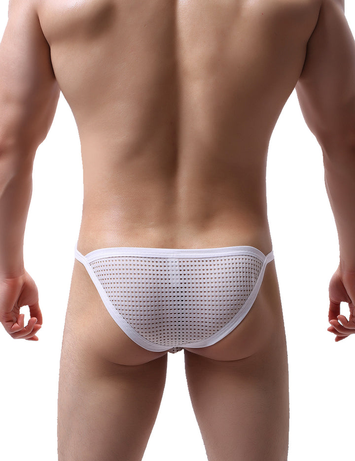 Low Rise Mesh Bikini Briefs 5527