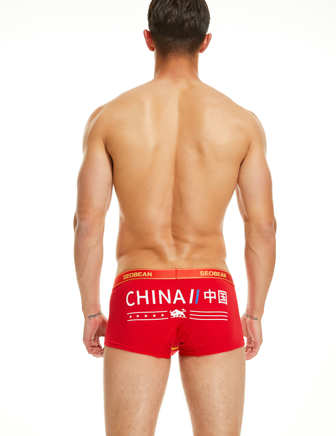 SEOBEAN Mens Sexy Low Rise Boxer Briefs Underwear 10206 – SEOBEAN®