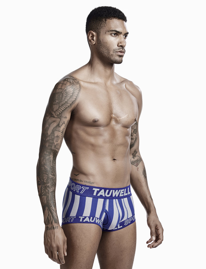 Stripe Boxer Brief 0202