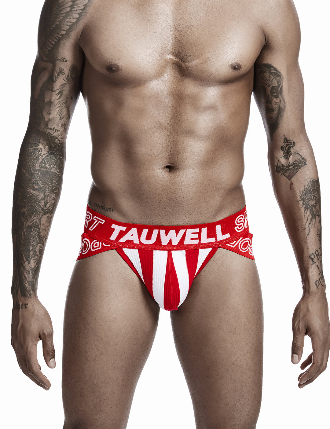Sexy Stripe Brief 0103