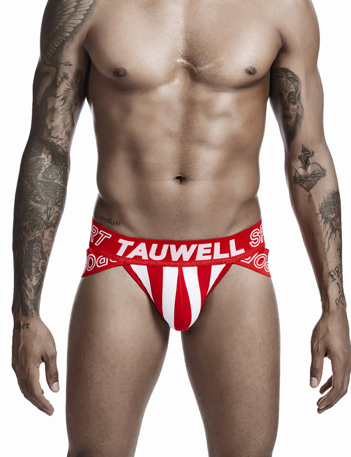 Sexy Stripe Brief 0103