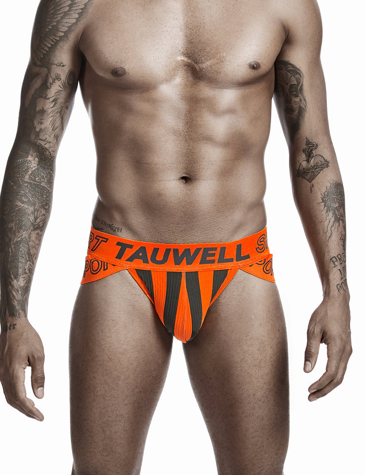 Sexy Stripe Brief 0103