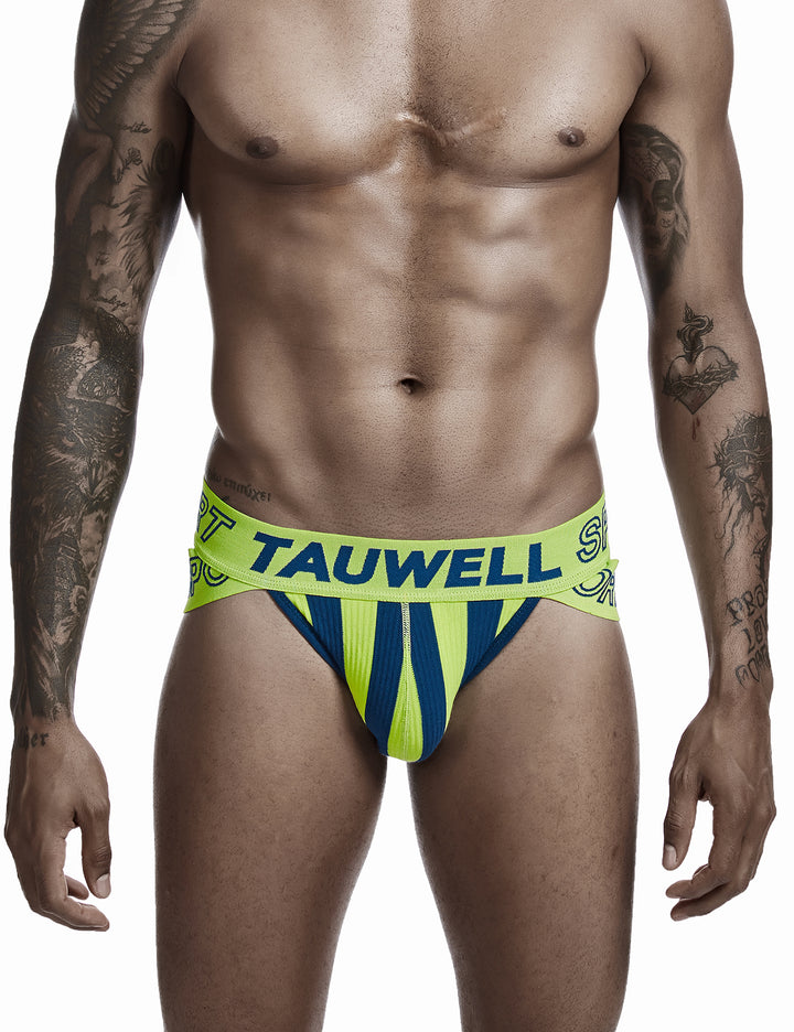 Sexy Stripe Brief 0103