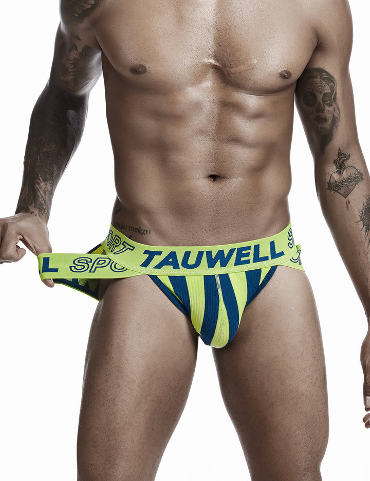 Sexy Stripe Brief 0103