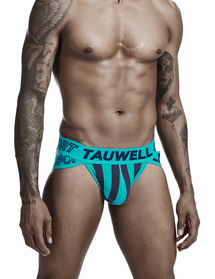 Sexy Stripe Brief 0103
