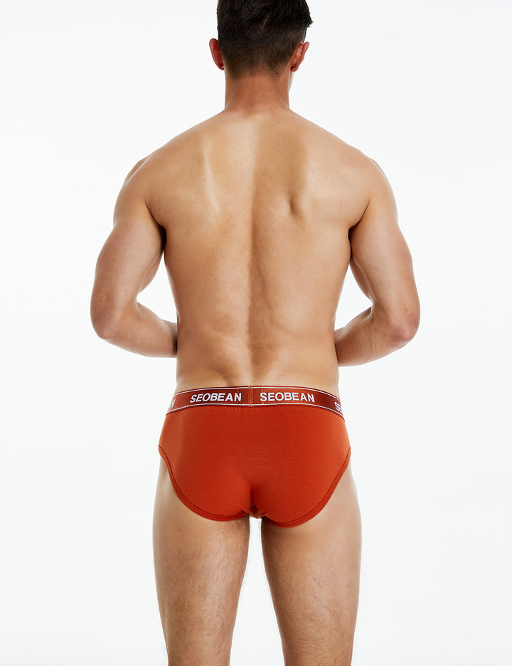 Basic Colored Brief 10112