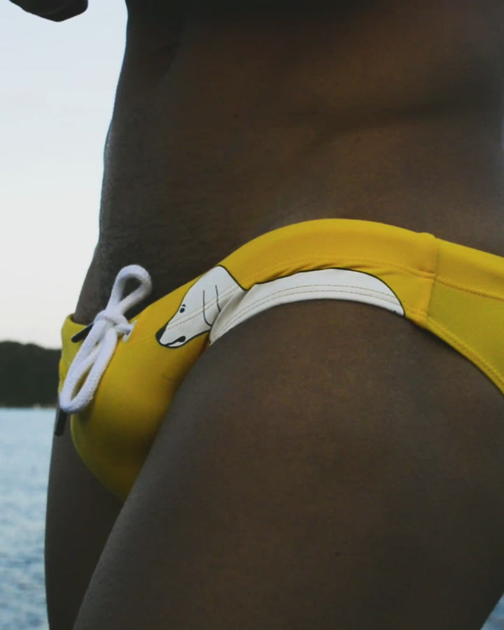 Staring Dog Swim Bikini 00901