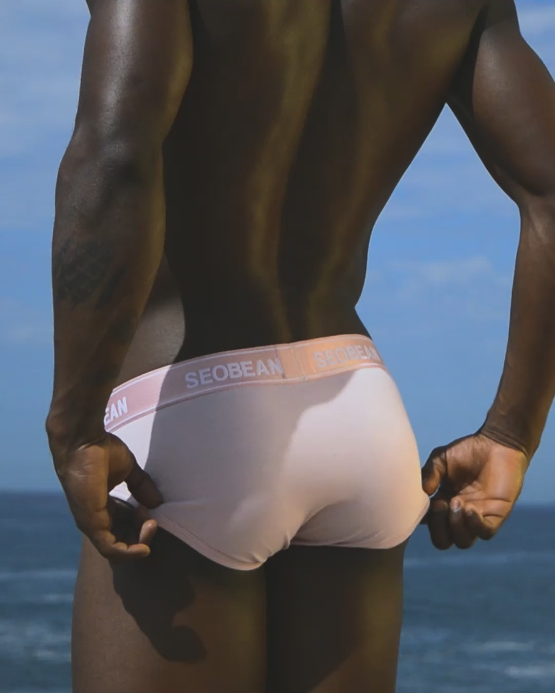 Basic Colored Brief 10112